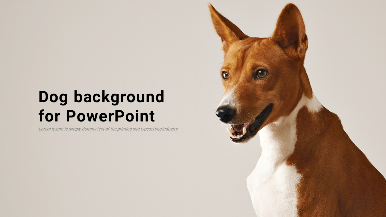 Use dog background for PowerPoint slide